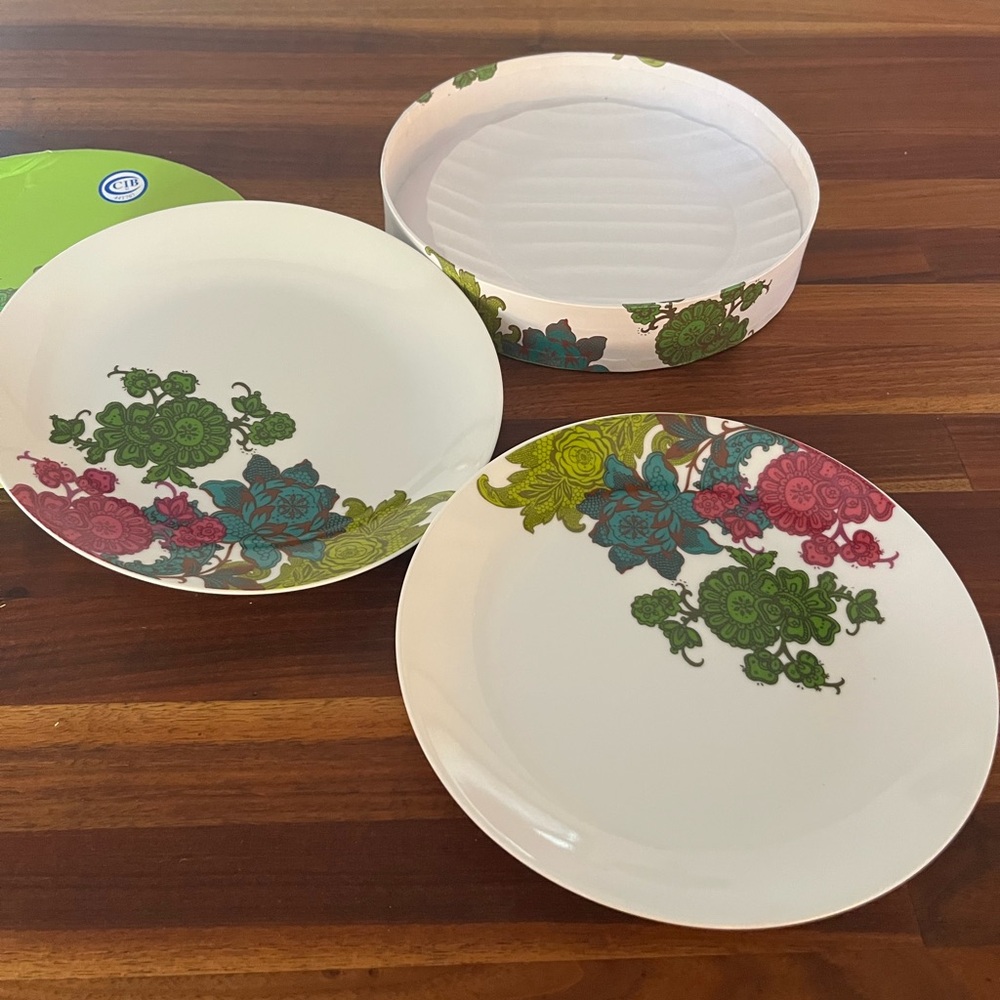 Paula Scarletta porcelain "Flower Pop" pair desert/salad plates + gift box NEW